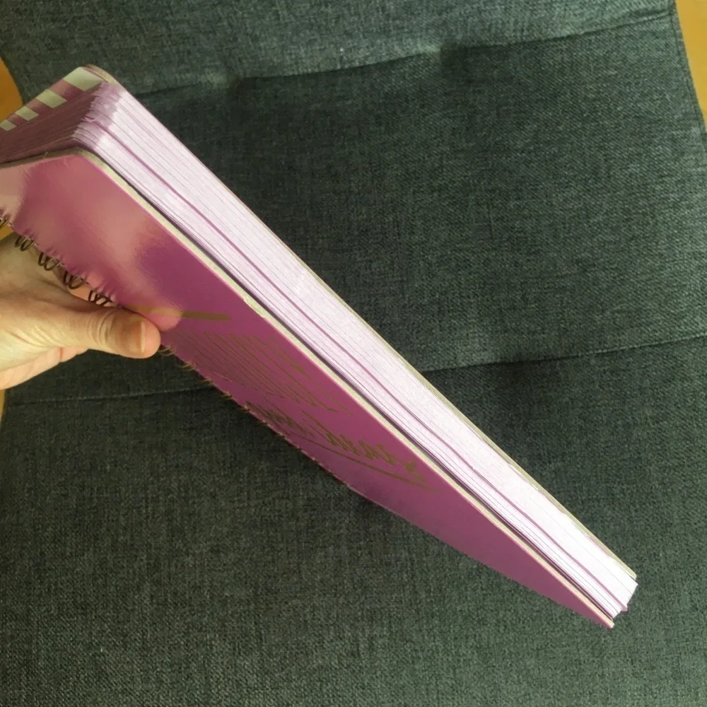 “RIDICULOUSLY good ideas” Spiral Bound, Lined Journal, Pink, White, 120 pages